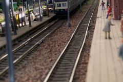 IMG-20231015-WA0003