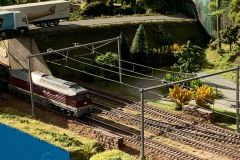 IMG-20231015-WA0012