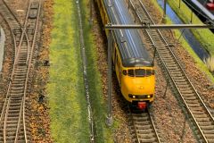 IMG-20240219-WA0037