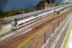 IMG-20210225-WA0028