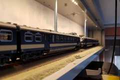 IMG-20210305-WA0021