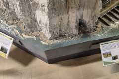 IMG-20251016-WA0051