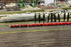 IMG-20251016-WA0119