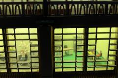 IMG-20251016-WA0141